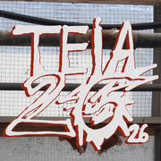 TEIA 26