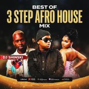 2025 Best Of 3-Step Afrohouse Mix, Dlala Thukzin [Isaka, Uvalo, Bengicela, Tholukuthi, Magumba]
