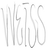 VVEISS
