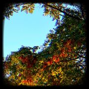 Show #1 'There's Always October' (Fall 2025)