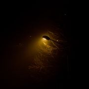 Noćurak za gledanje u maglu / u sebe :: Mixtape