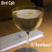 Black Bird - smooth vinyl set at cocktailbar Bird.Cph - Copenhagen - Denmark