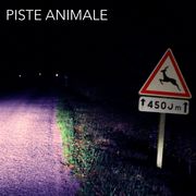 Piste Animale