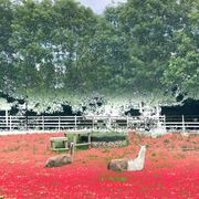 OPEN BAND 04 - "boiling"