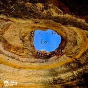 Room To Dream 279