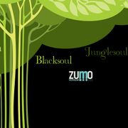 Dj Junglesoul Presenta Organika Sessions Vol II