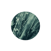 Haiku Podcast #24: Sevenism