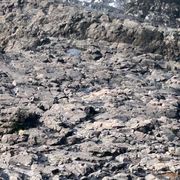 The Institute of Spectra-Sonic Sound 4.19.25