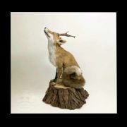 Horny Hour 13/01/2026