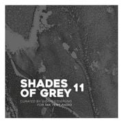 Signalstoerung – Shades Of Grey #11
