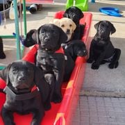 Radio aktivitet - Centar Silver, 20.11.2023.