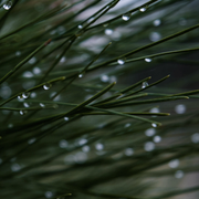 Naviar Broadcast #21 - A Lucid Mirage - Wednesday the 4th of July 2018