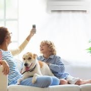 Do Carbon Filters Remove VOCs? A Deep Dive into Clean Air Solutions - Audio Blog