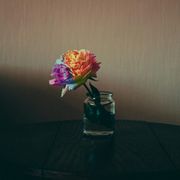 Manifest in Alignment - Day 7 - Embodied Practice