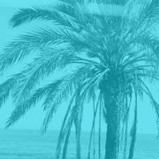 Sound Rays June 2024