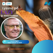 Lazy Days med Stellan Särlefalk — Prg 06 (2025-10-05)