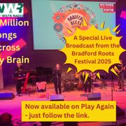 A Million Songs Across My Brain at Bradford Roots Festival 25