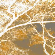 Stinky Grooves  26.08.25 - Stealth Evident