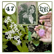 Allesandre & White Gourd present Beltane Bouquet