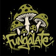 Fungalate. April 26
