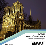 Katedra za plastičnu kirurgiju - Notre-Dame u punom sjaju, 2.12.2024.