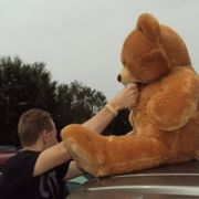 R and Bitchie 4.0 - TeddyLicious