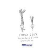 forever & ever vol XI