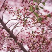 Session 05: Petrichor
