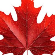 The Institute of Spectra-Sonic Sound 3.22.25