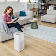 Does an Air Purifier Help with Mold Spore Removal? - Audio Blog