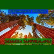 Sequoia Summerland: DJVSamsonite Presents