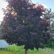 it finally rained in october