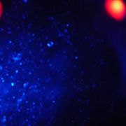 Black Frisbee 2025-04-15