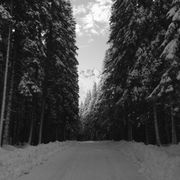 Disorder @ das Werk Vienna || 1.12.18