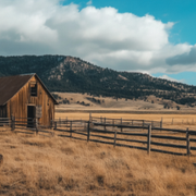 What Is Regenerative Ranching and Farming in Agriculture? - Audio Blog