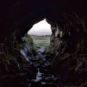 Litany for End Times - 14/03/25
