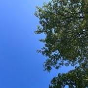 global groove selections early 2026