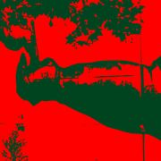 Stinky Grooves 04.11.25 - The Anti-Quirk