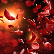 What Is the Difference Between Sickle Cell Anemia and Sickle Cell Disease (SCD)? - Audio Blog