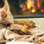 The Importance Of Filtration In Our Daily Lives - Audio Blog