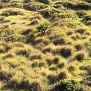 Terrains - Radio Al Hara  09.02.2021