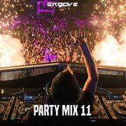 Groove Party Mix 11