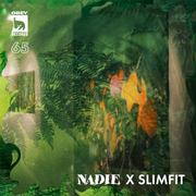 OBEY RECORDS Ep. 65: Nadie X  Slimfit mix