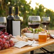Book Elite Wine Tasting Room Reservations in Southern California: Best Luxury Experiences