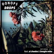 Oonops Drops - One Day At The Tropical Bay 2