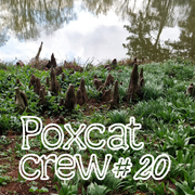 Poxcat_Crew_RadioVacarme#20 Lundi_JaneStar666