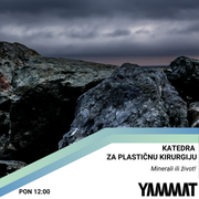 Katedra za plastičnu kirurgiju - Minerali ili život!