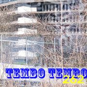 Tembo Tembo 262