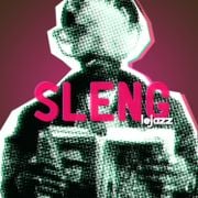 Sleng - A Reggae Dancehall Mix