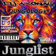 JUNGOLOGY SESSIONS 029 DJ AXONAL MADNESS JUNGLE DNB  #dnb #jungle #drumandbass